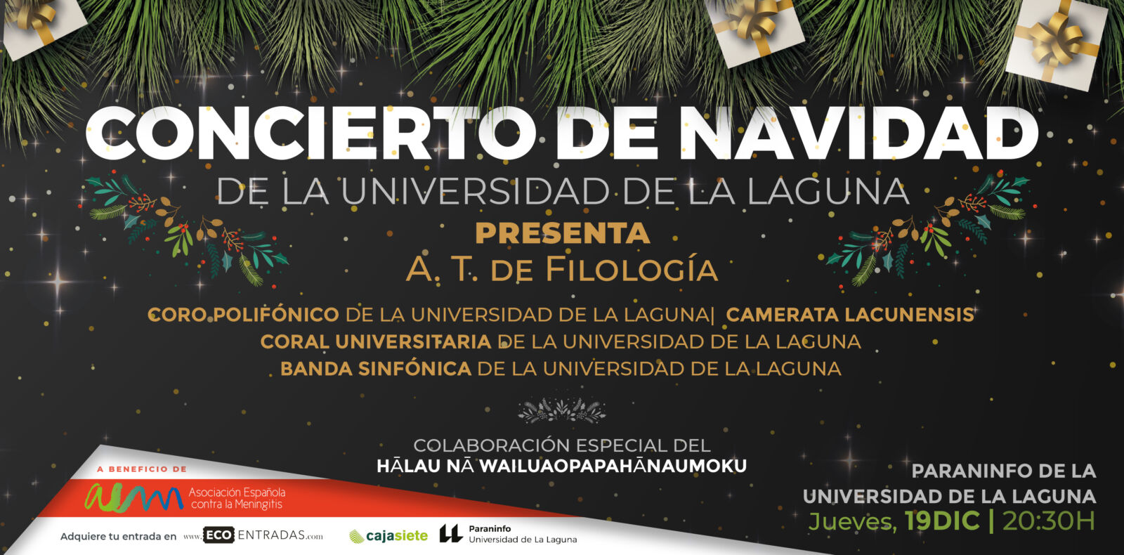 Banner anunciador del concierto de Navidad