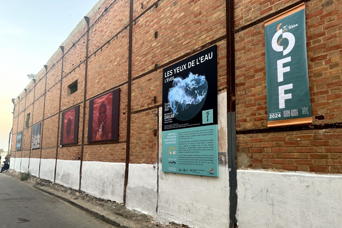 Obras de los artistas en las calles de Saint Louis.